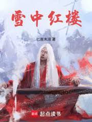 雪中红楼